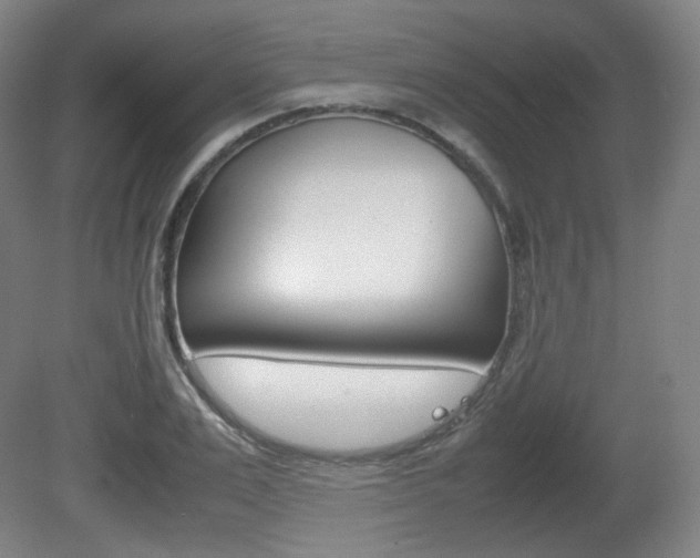 X0000080780983200612151027
