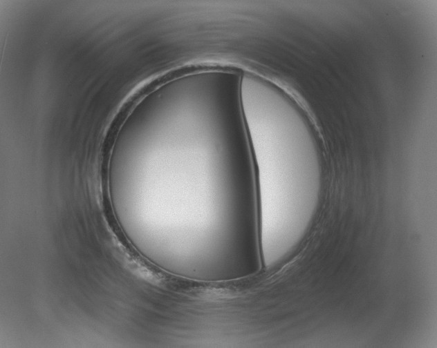 X0000080780984200612151027