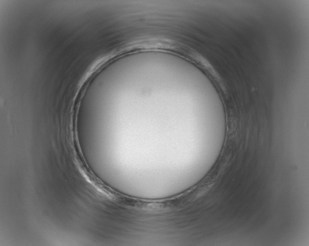 X0000080780986200612151027