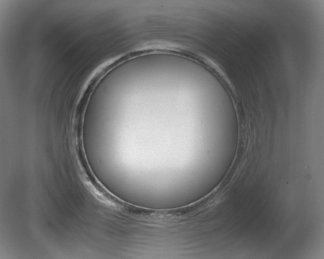 X0000080780987200612151027