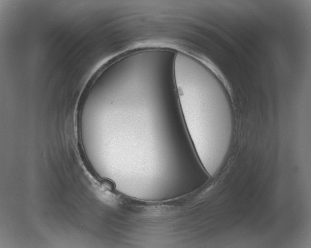 X0000080780988200612151027