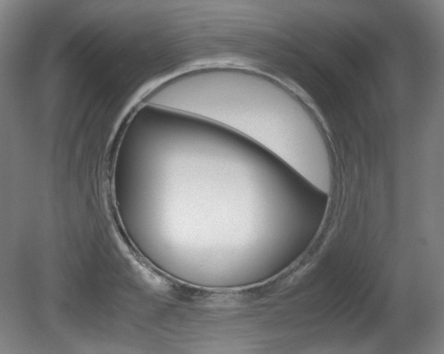 X0000080780989200612151027
