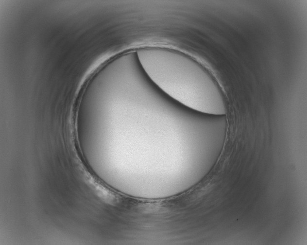 X0000080780990200612151027