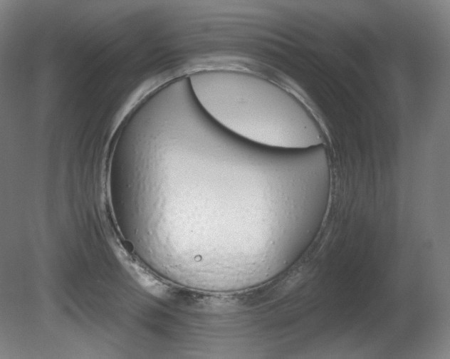 X0000080780994200612151027