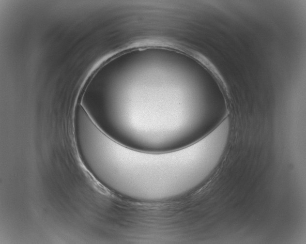 X0000080780996200612151027