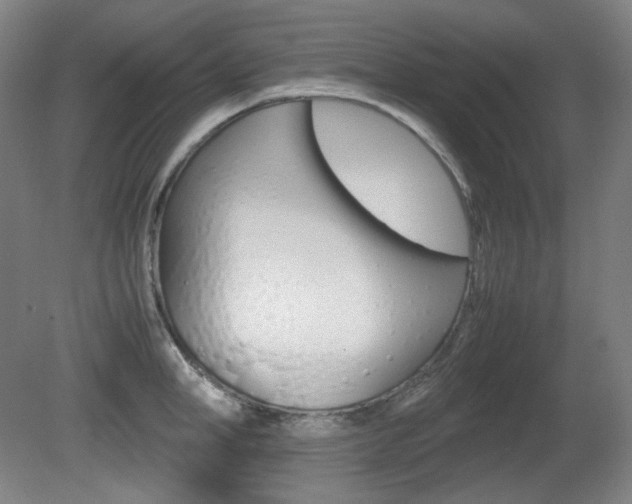 X0000080780998200612151027