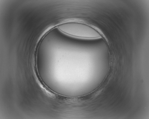 X0000080780999200612151027