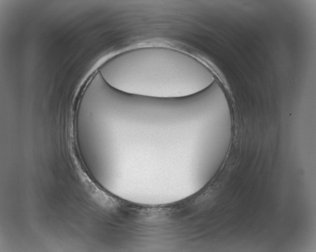 X0000080781000200612151027