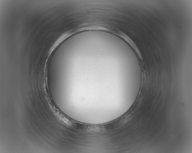 X0000080781002200612151027
