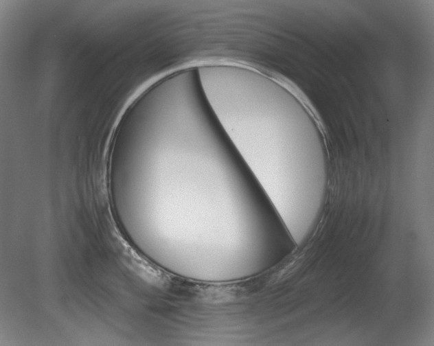 X0000080781004200612151027