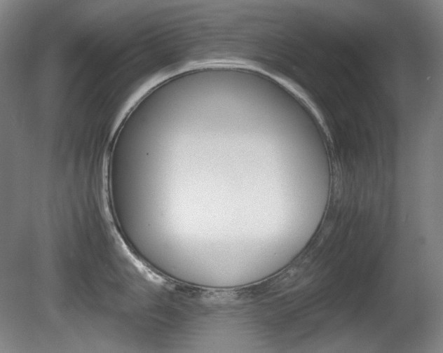 X0000080781006200612151027