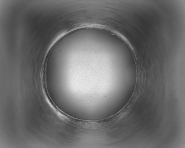X0000080781007200612151027