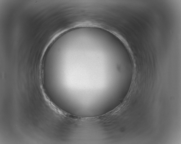 X0000080781008200612151027