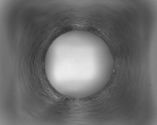 X0000080781009200612151026
