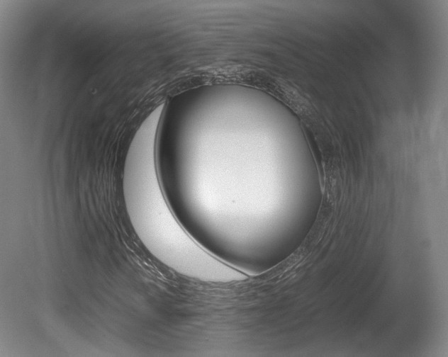 X0000080781010200612151026
