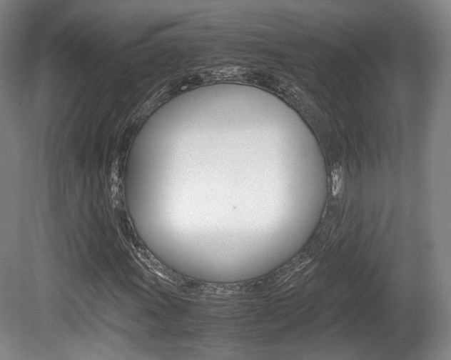 X0000080781011200612151026