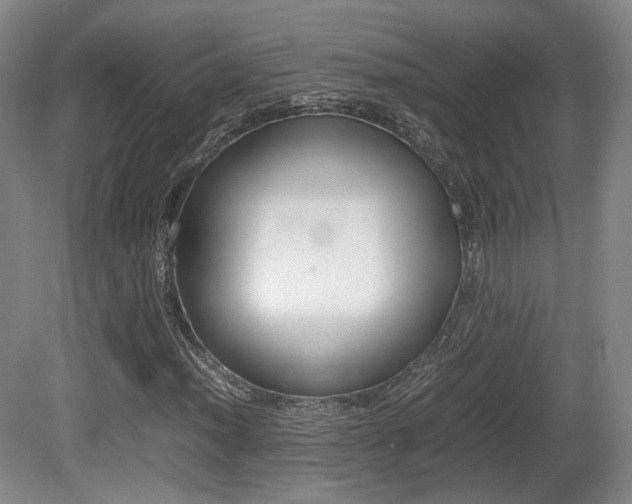 X0000080781012200612151026