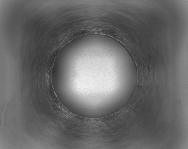 X0000080781013200612151026
