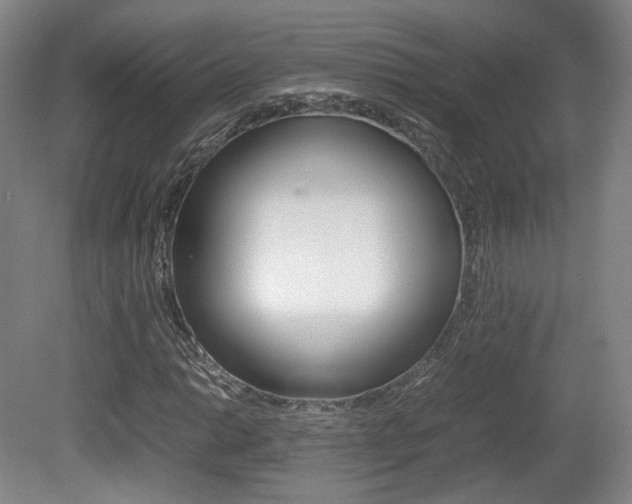 X0000080781014200612151026