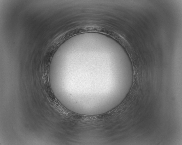 X0000080781015200612151026