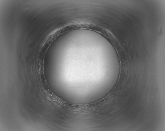 X0000080781016200612151026