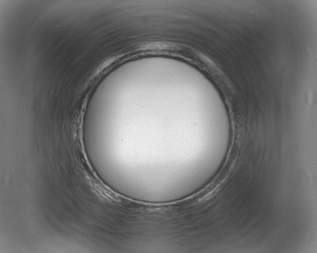 X0000080781017200612151026