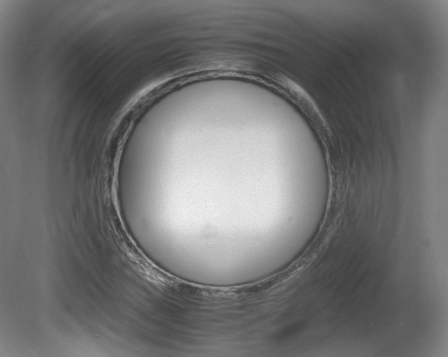 X0000080781019200612151026