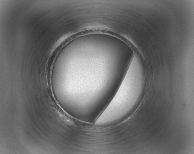 X0000080781022200612151026