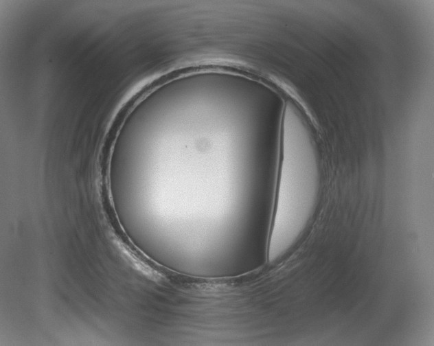 X0000080781024200612151026