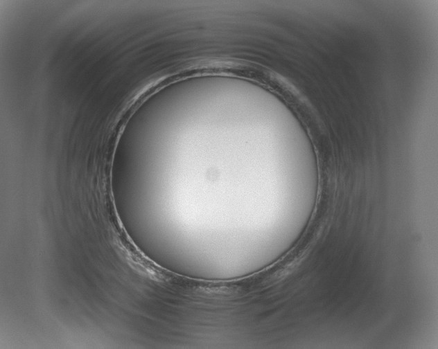 X0000080781025200612151026