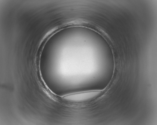 X0000080781026200612151026