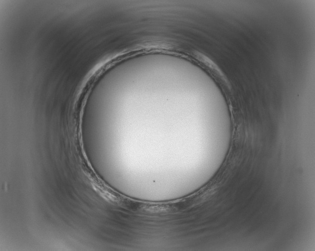 X0000080781027200612151026