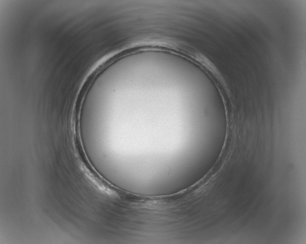 X0000080781028200612151026