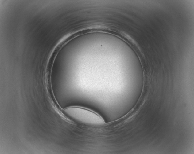 X0000080781029200612151026