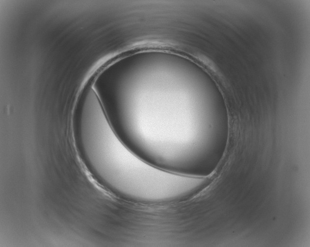 X0000080781030200612151026