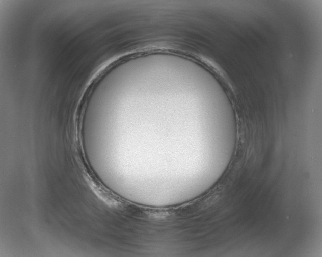 X0000080781031200612151026