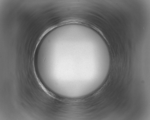 X0000080781034200612151026