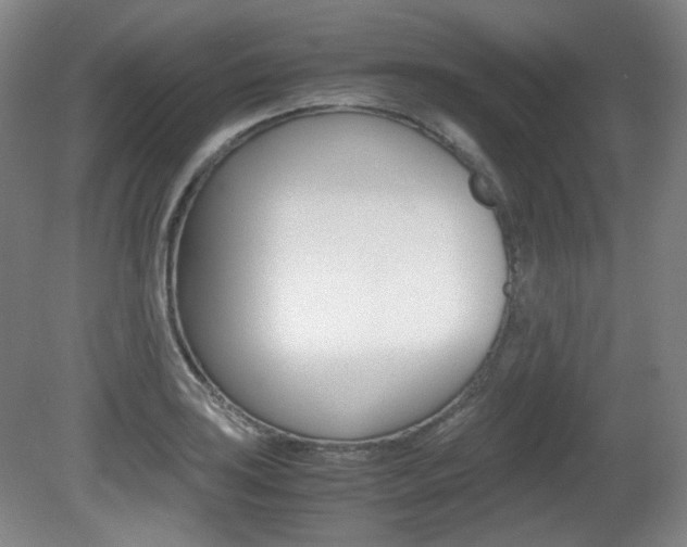 X0000080781035200612151026