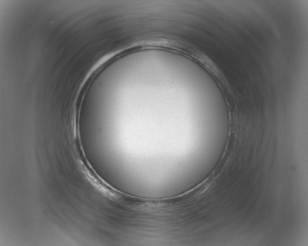 X0000080781036200612151026