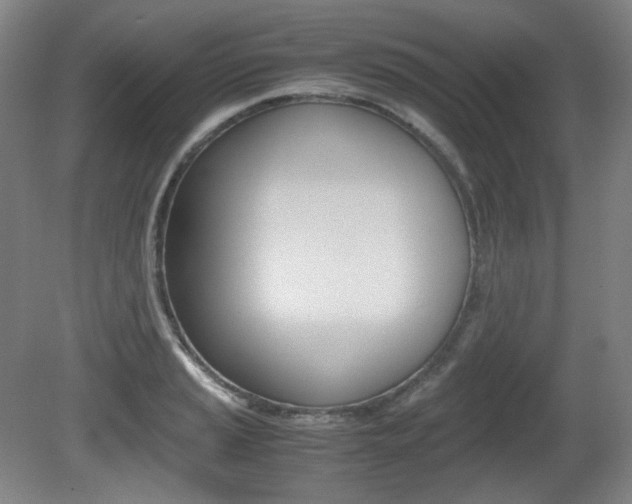 X0000080781037200612151026