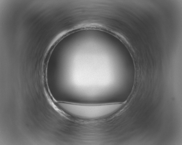 X0000080781038200612151026