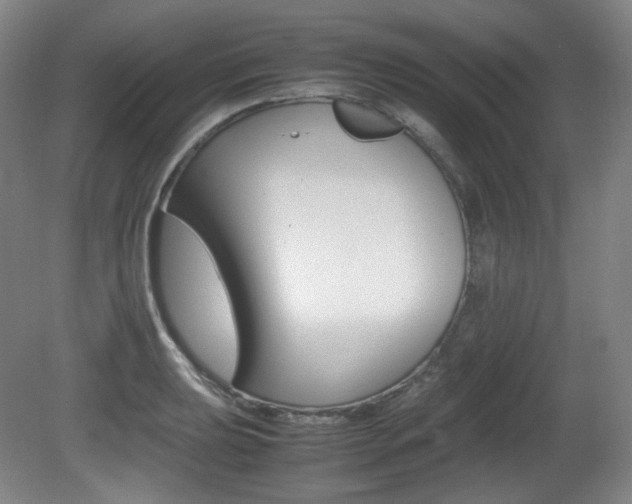 X0000080781039200612151026