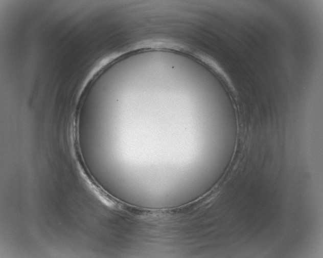 X0000080781040200612151026