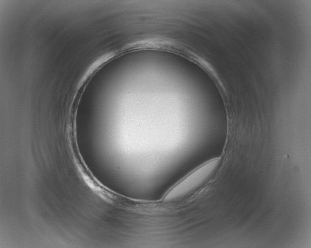 X0000080781042200612151026