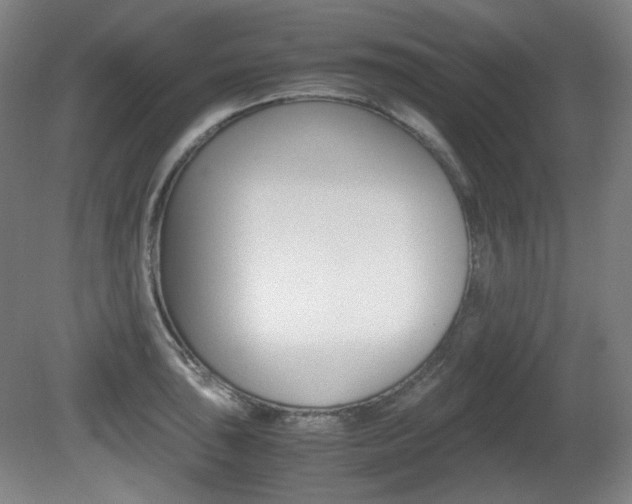 X0000080781043200612151027