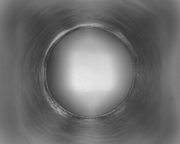 X0000080781044200612151027