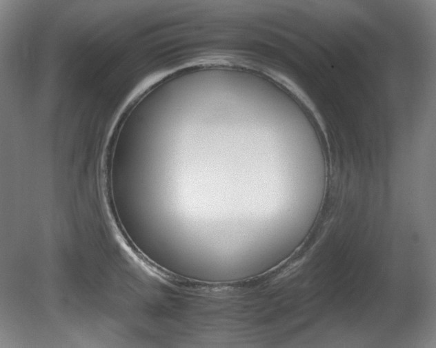 X0000080781045200612151027