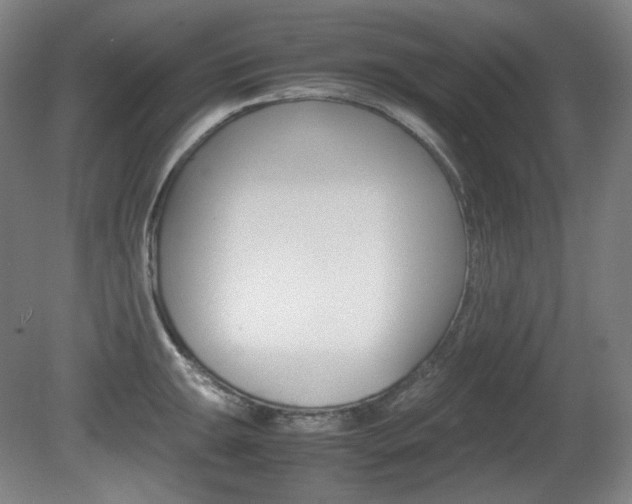 X0000080781047200612151027