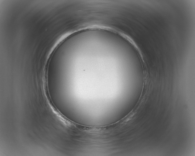X0000080781048200612151027