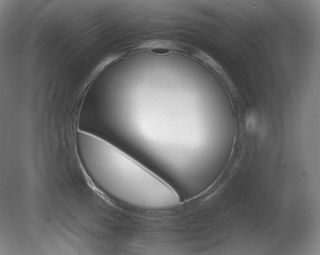 X0000080781049200612151027